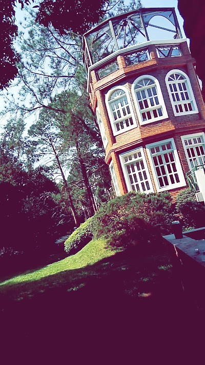 Fotos Colegio Bilingüe Saint Patrick