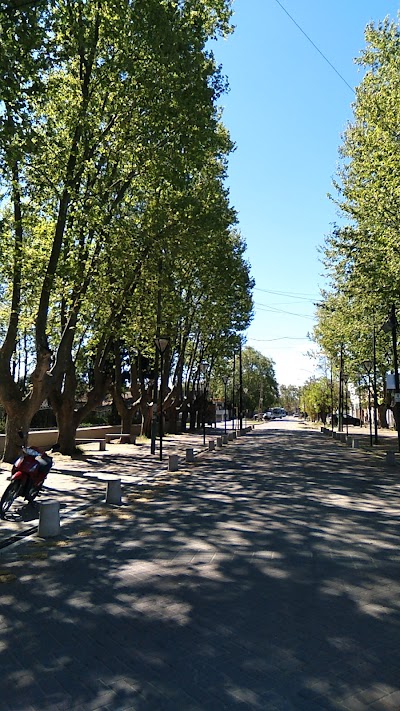 Fotos Colegio Parroquial Santa Ana