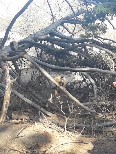 Fotos Colegio Nuestra Señora De Nueva Pompeya