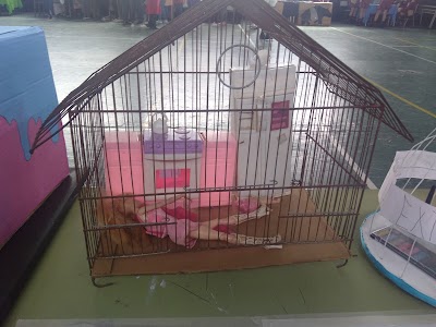 Fotos Mariano Acosta Institute