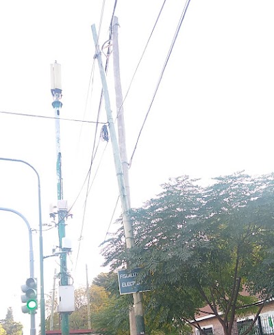 Fotos The Forest College