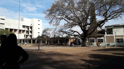 Fotos Our Lady of Ranelagh