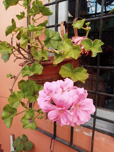Fotos San Agustín - Campo de deportes del Colegio Calasanz