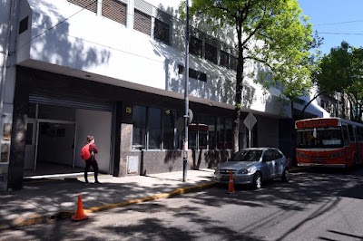 Fotos LIMERICK Bilingual School Argentina