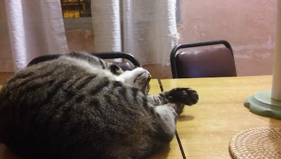 Fotos colegio Ep N 5