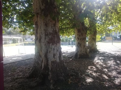 Fotos Instituto Secundario Nuestra Señora de Lujan