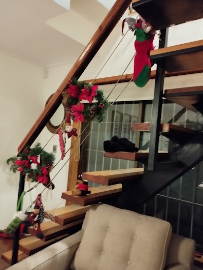 Fotos Colegio San Francisco