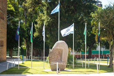 Fotos Colegio Tarbut