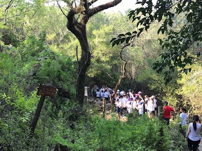 Fotos Edmondo De Amicis School