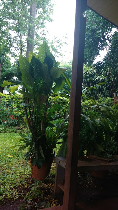 Fotos Santa Lucia Institute