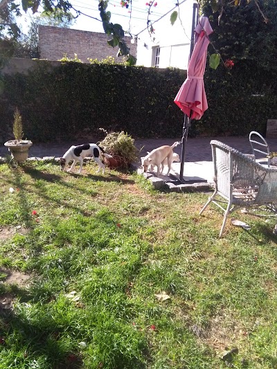 Fotos Jardín Maternal Sagrada Familia