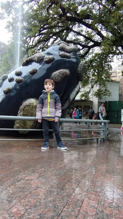 Fotos Universidad Nacional del Comahue - Delegación Buenos Aires