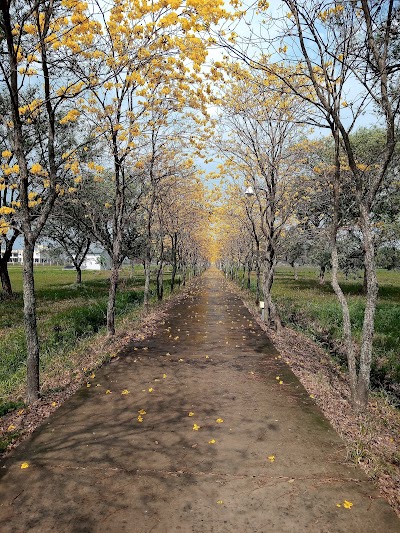 Fotos U.N.N.E Northeastern University