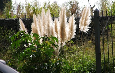 Fotos Universidad Nacional de San Martin