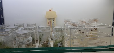 Fotos National University of San Luis, Villa Mercedes headquarters