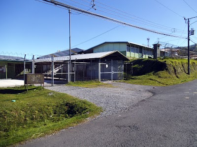 Fotos Escuela Pío XII