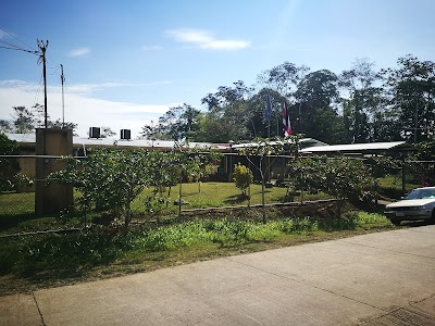 Fotos Liceo La Palmera