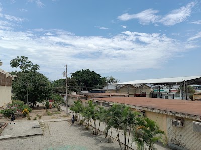 Fotos Colegio Francisco de Orellana