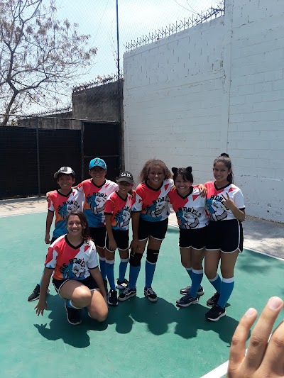 Fotos Liceo Los Andes