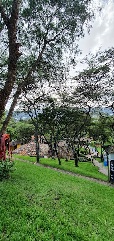 Fotos Colegio El Sauce