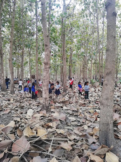 Fotos Tecnico Milagro