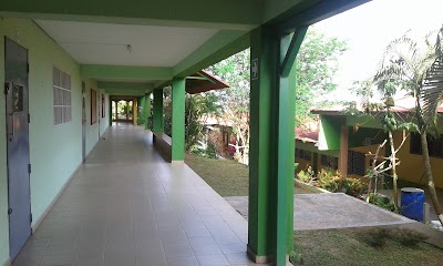 Fotos Colegio San Martín De Porres
