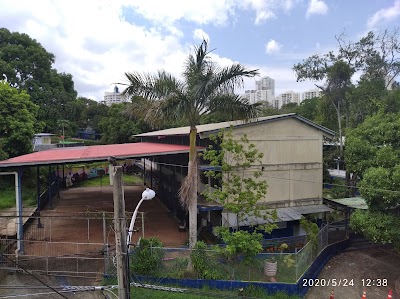 Fotos Escuela Bilingüe de Japón