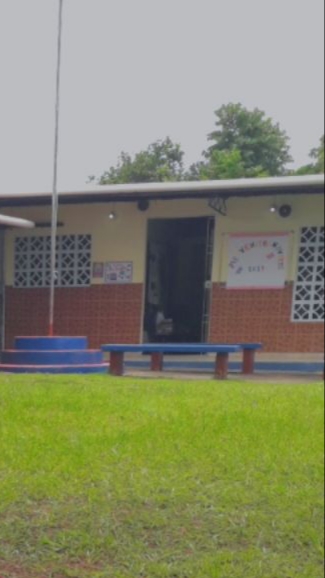 Fotos Instituto Profesional Aurelio Villarreal