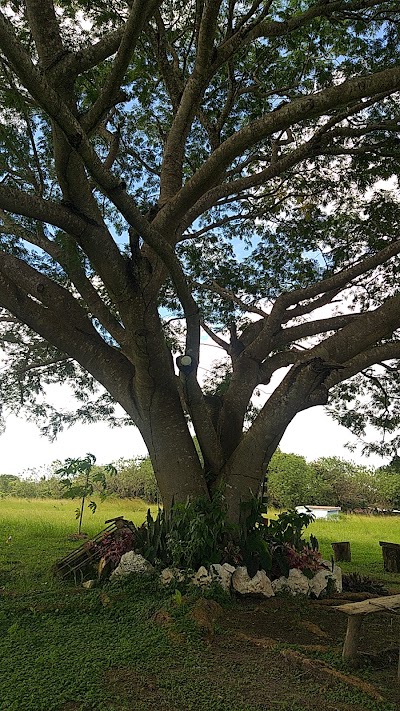 Fotos Universidad Especializada de Las Américas UDELAS | Coclé